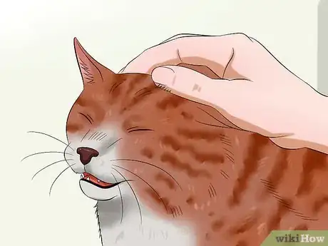 Image titled Bathe Your Cat With a Damp Towel Step 7