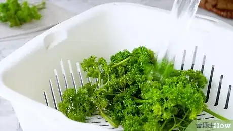 Image titled Preserve Fresh Parsley Step 16