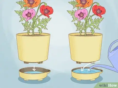 Image titled Use Self Watering Pots Step 8