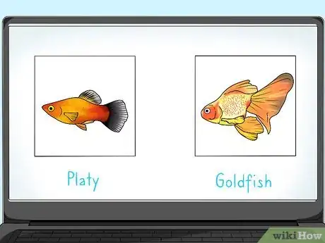 Image titled Feed Fish Step 1