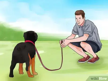 Image titled Train a Rottweiler Step 17