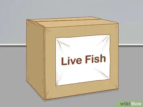 Image titled Bag and Ship Live Fish Step 10