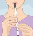 Play the Tin Whistle