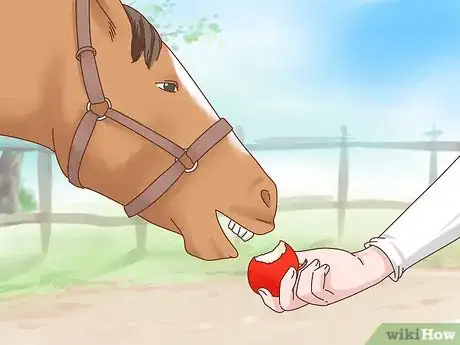 Image titled Take Care of Your Horse Step 18