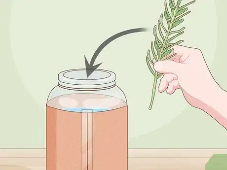 Image titled Grow Herbs in Water Step 8