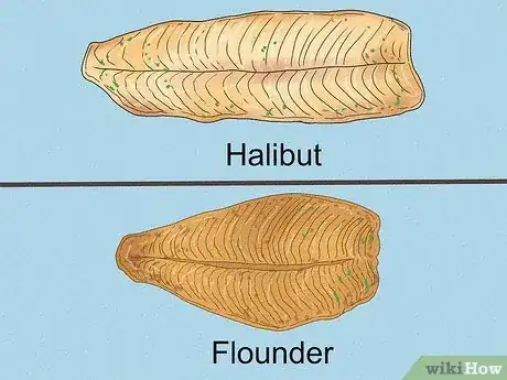 Image titled Flounder vs Halibut Step 1