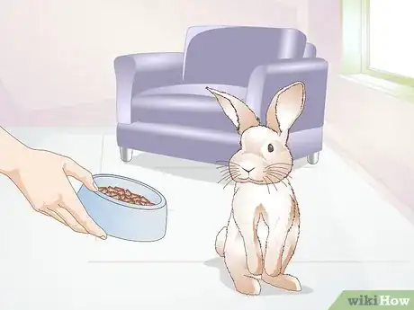 Image titled Teach a Rabbit Not to Chew Furniture Step 2