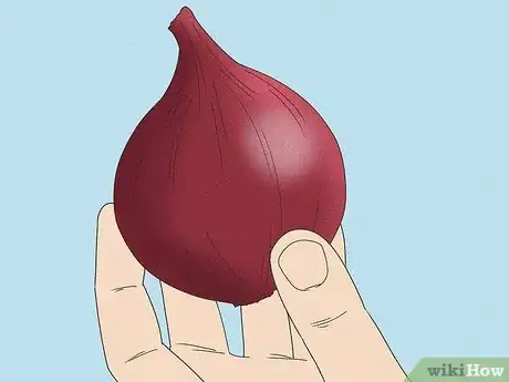 Image titled Tell if an Onion Is Bad Step 2