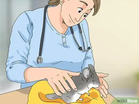 Image titled Treat Eye Irritations in Chinchillas Step 14