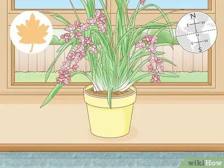 Image titled Grow Cymbidium Orchids Step 10