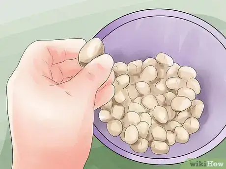 Image titled Make Acorn Flour Step 1