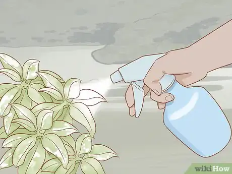 Image titled Get Rid of Powdery Mildew on Plants Step 6