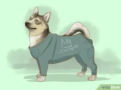 Image titled Stop a Dog with Short Hair from Shedding Step 11