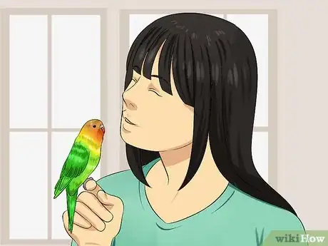 Image titled Tell if Your Pet Budgie Likes You Step 14