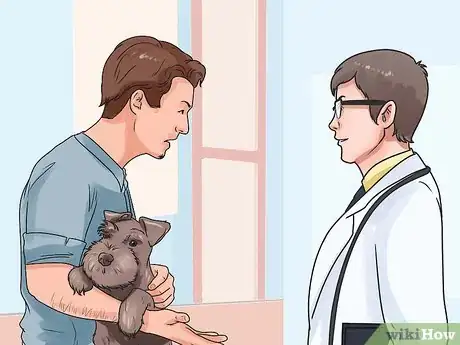 Image titled Save a Choking Dog Step 13