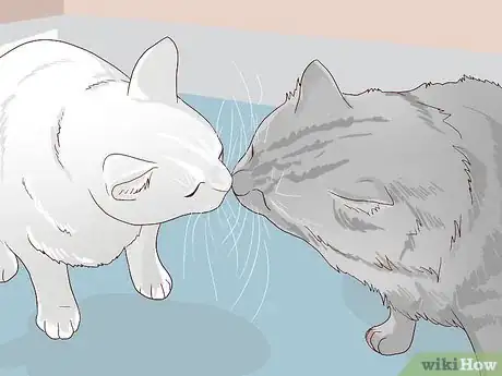 Image titled Introduce a New Cat to Other Cats Step 12