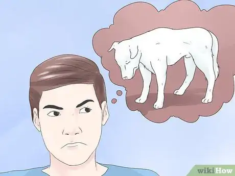 Image titled Spot Dog Seizure Symptoms Step 1