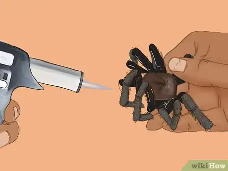 Image titled Cook Tarantula Spiders Step 20