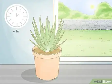 Image titled Care for Your Aloe Vera Plant Step 1