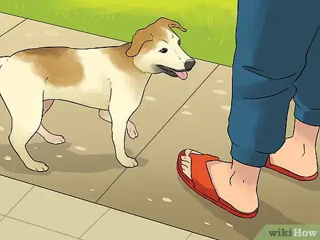 Image titled Make a Routine for Your Dog Step 6