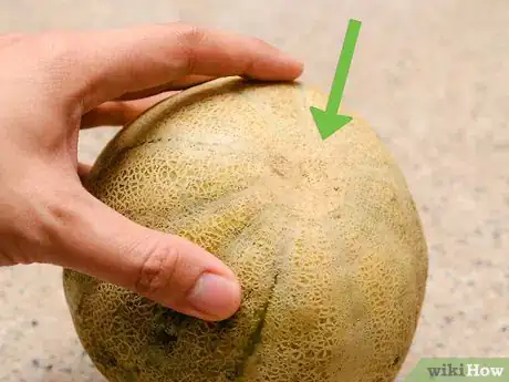 Image titled Ripen a Cantaloupe Step 8