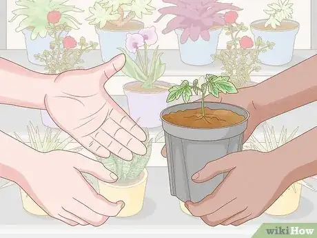 Image titled Plant Step 13