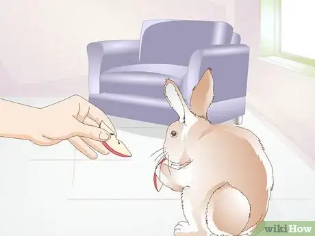 Image titled Teach a Rabbit Not to Chew Furniture Step 4