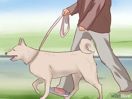 Image titled Tell Your Dog No Step 8