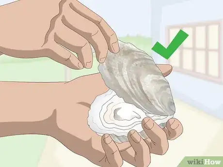 Image titled Grow Oysters Step 1