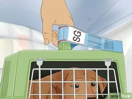 Image titled Prepare a Dog for Air Travel Step 11