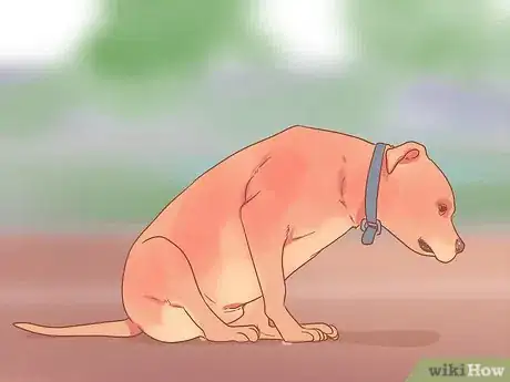 Image titled Get Rid of Tapeworms in Your Pets Step 1