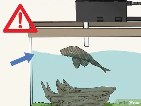 Image titled Feed a Pleco Step 14