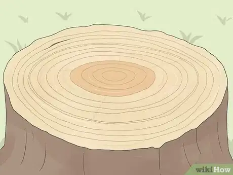 Image titled Count Tree Rings Step 1