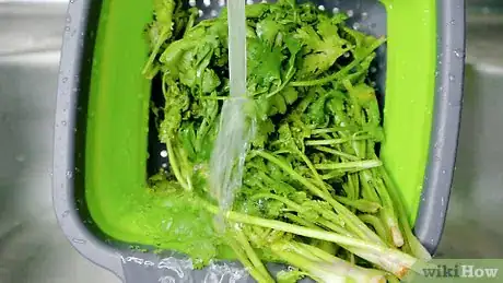 Image titled Store Cilantro Step 16