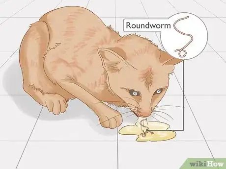 Image titled Identify Worms in a Cat Step 11