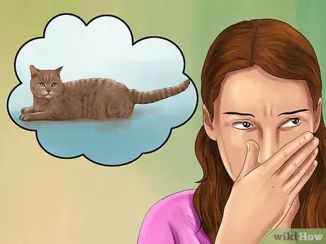 Image titled Diagnose and Treat Seborrhea in Cats Step 3