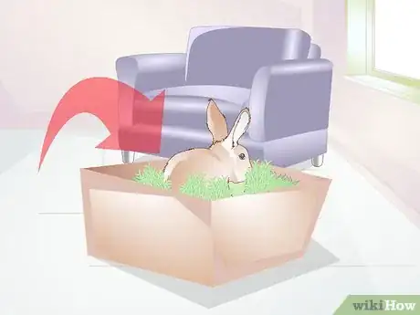 Image titled Teach a Rabbit Not to Chew Furniture Step 8