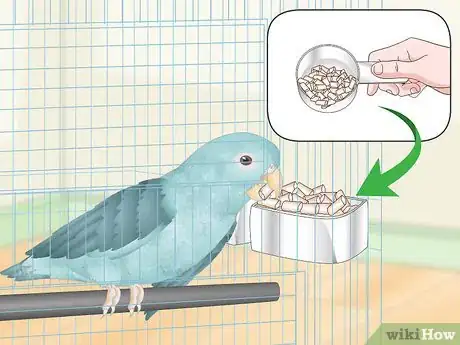 Image titled Spot Signs of Illness in Parrotlets Step 7