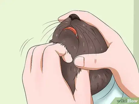 Image titled Give a Cat Medicine Step 13