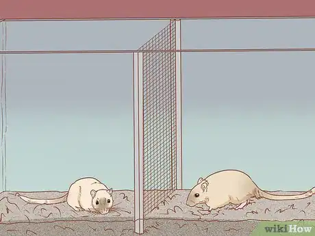 Image titled Split Cage a Gerbil Step 4