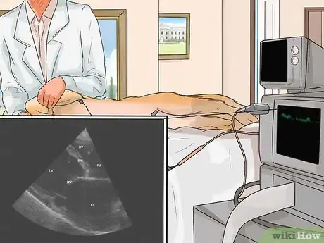 Image titled Diagnose Heart Disease in German Shepherds Step 14