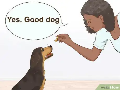 Image titled Train Your New Dog to Respond to a New Name Step 4