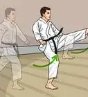 Perform Mae Geri (Shotokan Karate)