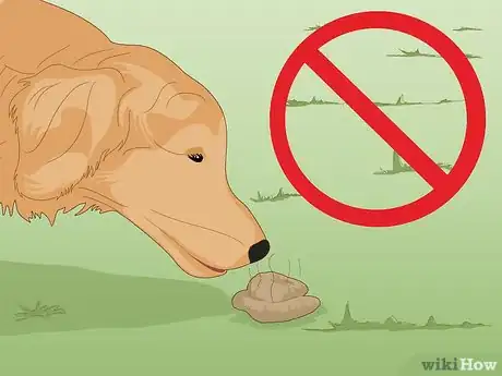 Image titled Prevent Worms in Dogs Step 3