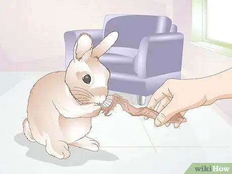 Image titled Teach a Rabbit Not to Chew Furniture Step 6