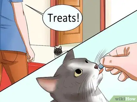 Image titled Train Your Cat to Come to You Step 4