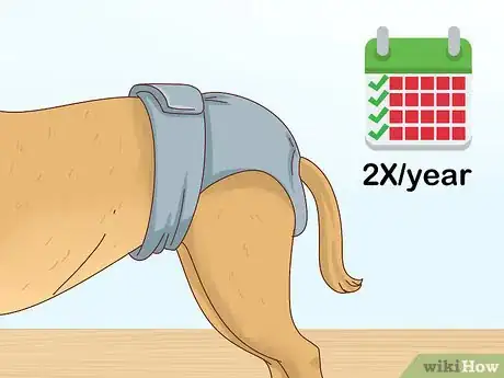 Image titled Tell if Your Dog Is in Heat Step 2