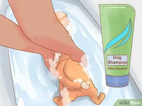 Image titled Get Rid of Tapeworms in Your Pets Step 9