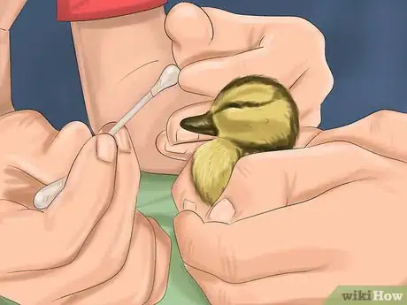 Image titled Make Baby Bird Rescue Food Step 11