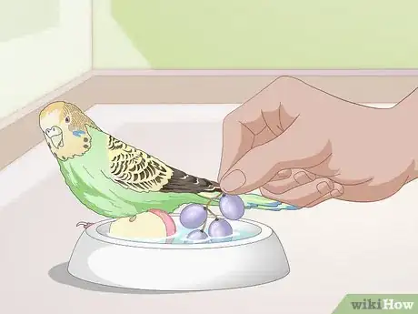 Image titled Tell when a Parakeet Is Sick Step 16